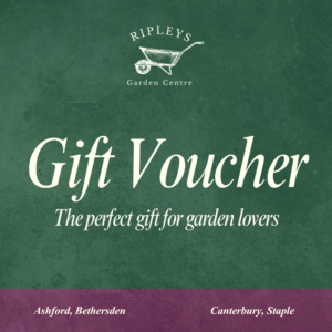 Garden Centre Gift Voucher